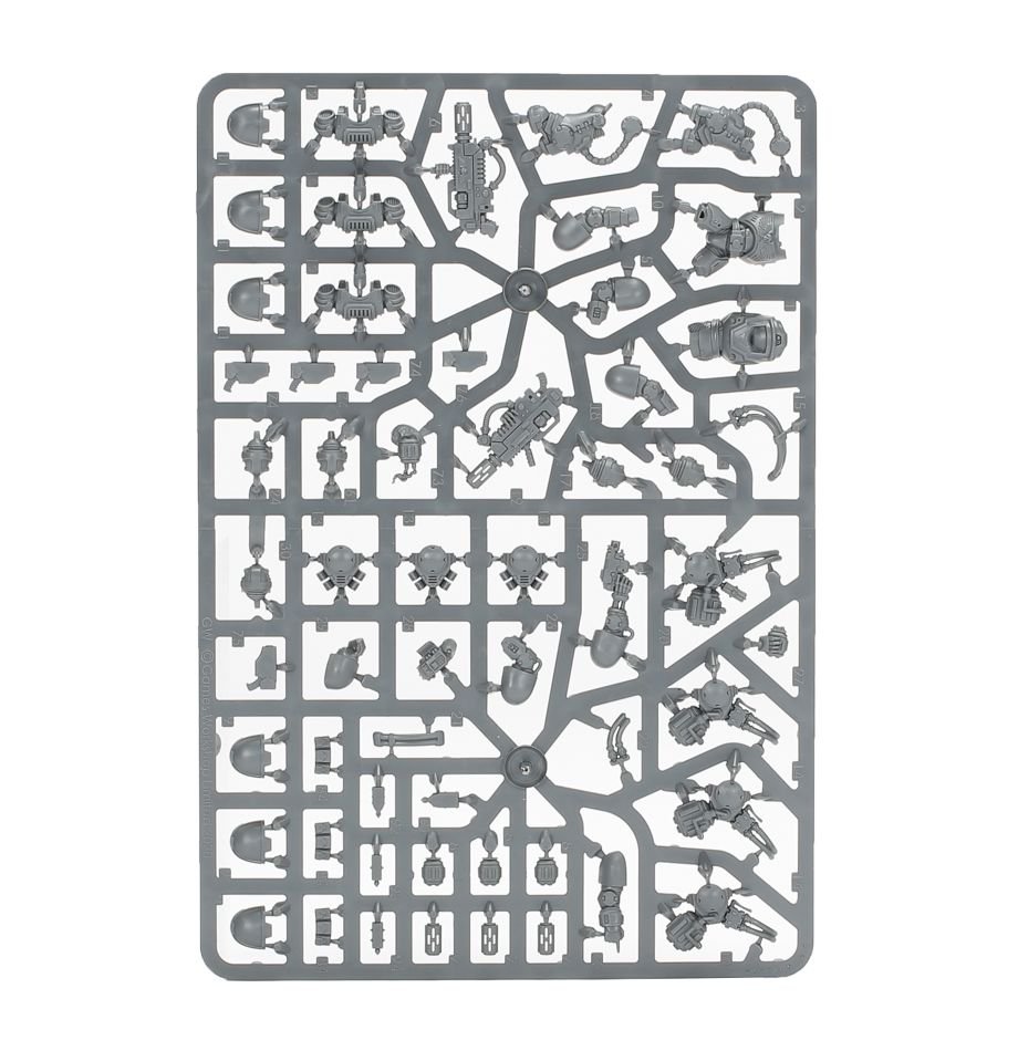 Space Marines: Primaris Eradicators sprue contents - Loaded Dice
