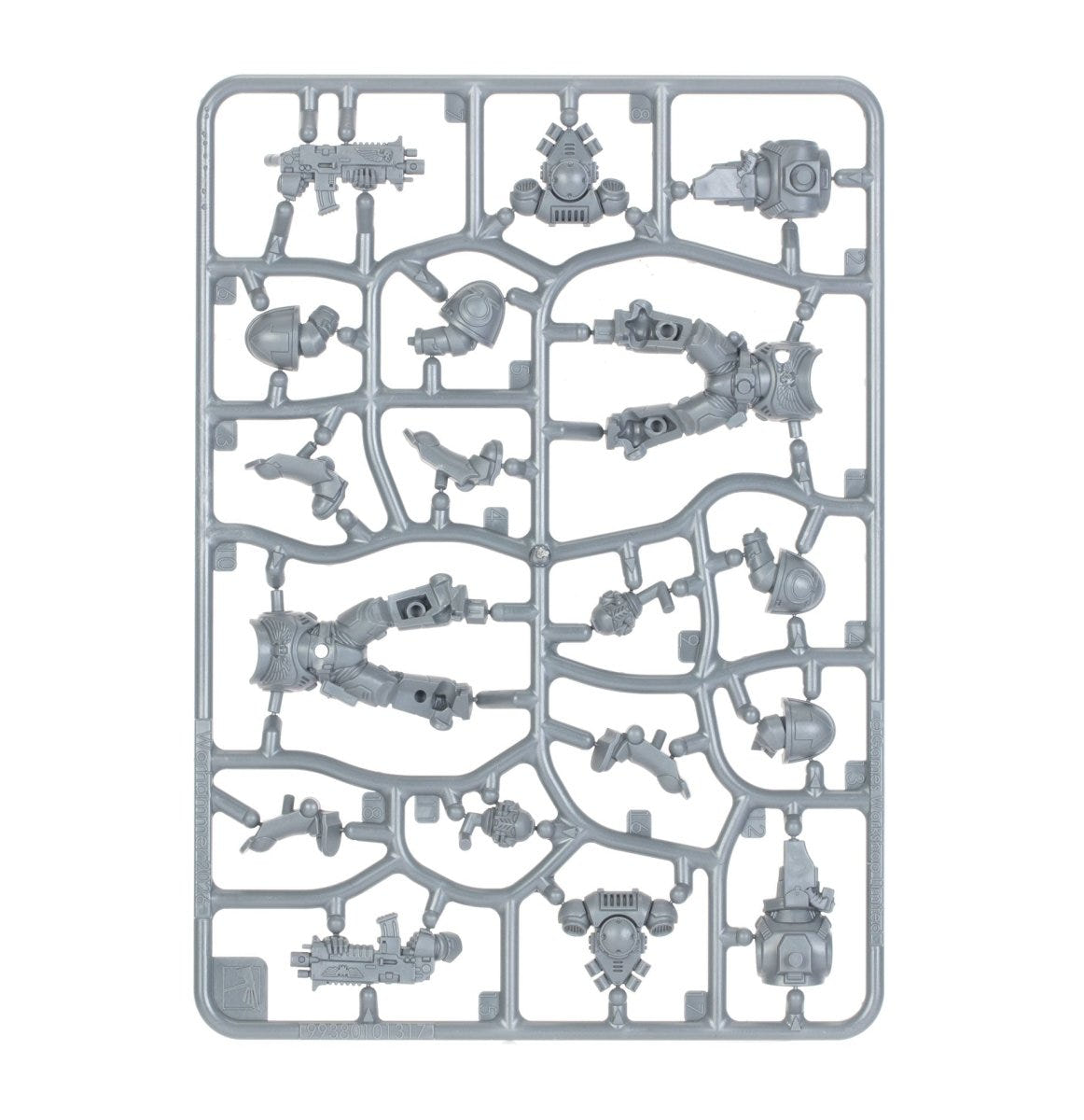 Space Marines: Primaris Intercessors - Loaded Dice