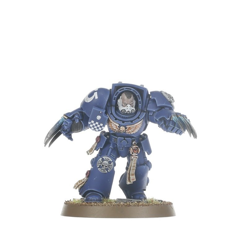 Space Marines: Terminator Assault Squad painted miniature - Loaded Dice