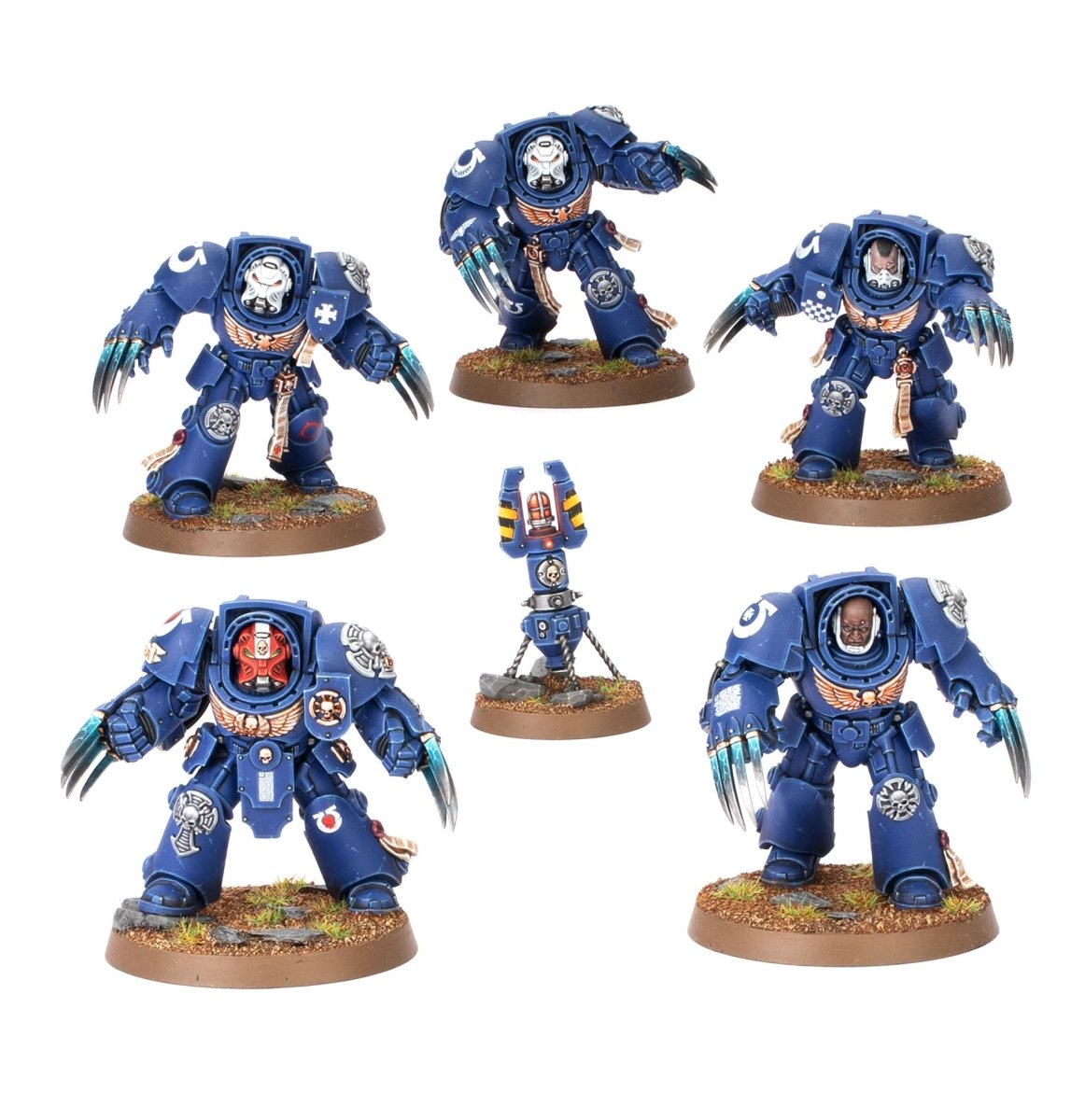 Painted Terminator Assault Squad built with lightning claws