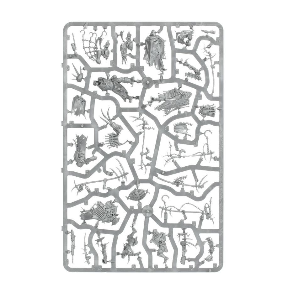 Spearhead: Maggotkin of Nurgle Bubonic Cell sprue contents - Loaded Dice