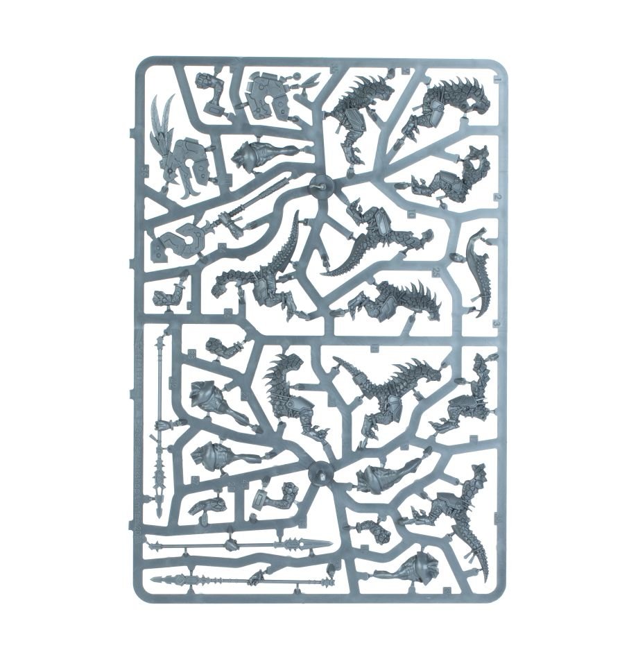 Spearhead: Seraphon Sunblooded Prowlers sprue contents - Loaded Dice
