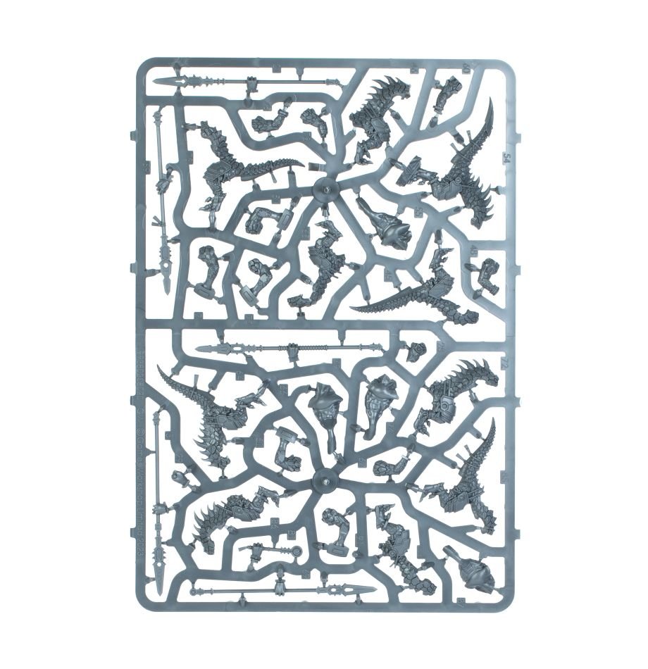 Spearhead: Seraphon Sunblooded Prowlers sprue contents - Loaded Dice