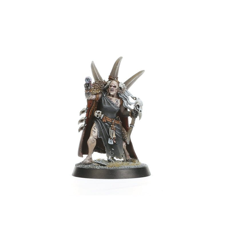 Painted Darkoath Raiders shaman in hooded robes with a curved horn headdress