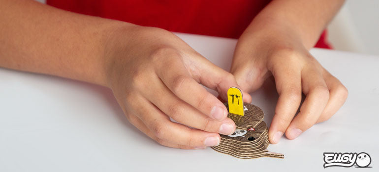 EUGY Mandarin Duck - Loaded Dice