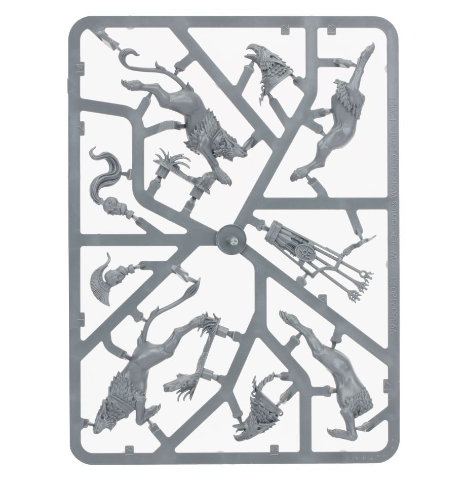 Stormcast Eternals: Knight-Judicator with Gryph-Hounds sprue contents - Loaded Dice