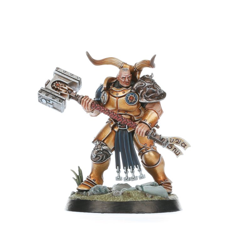 Stormcast Eternals: The Blacktalons painted miniature - Loaded Dice