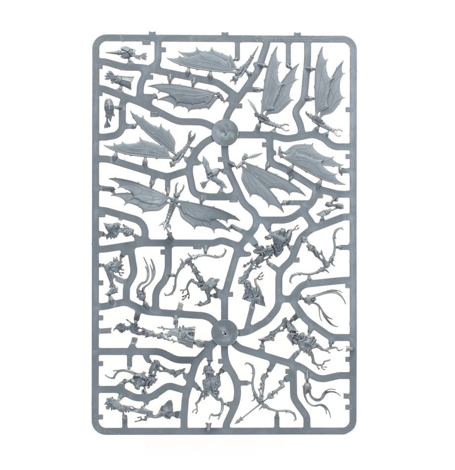 Sylvaneth: Gossamid Archers sprue contents - Loaded Dice