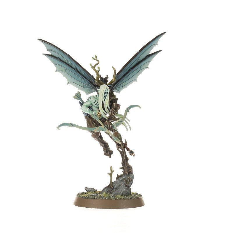 Painted Gossamid Archer on a dark-winged zephyrspite rising from a branch, rear view