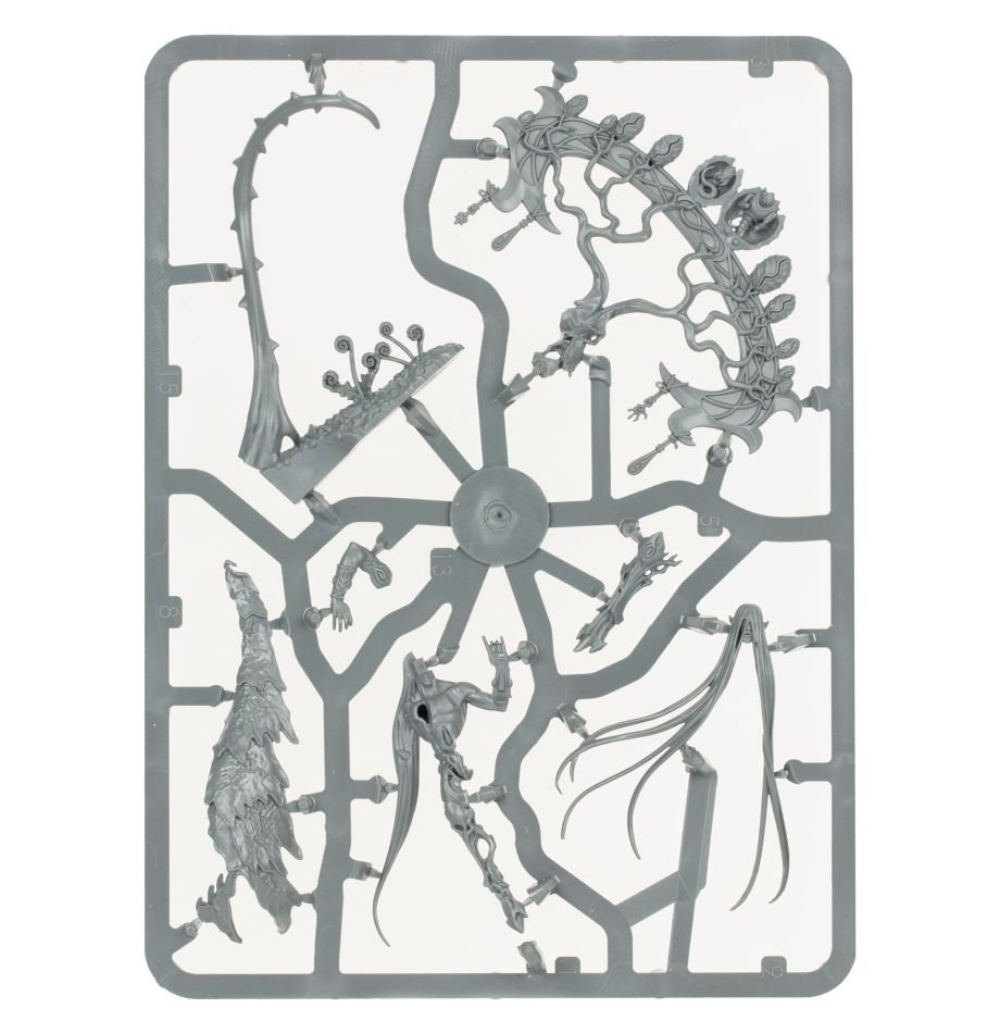 Sylvaneth: Warsong Revenant sprue contents - Loaded Dice