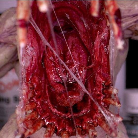 Dirty Down Snot - 15ml - Loaded Dice