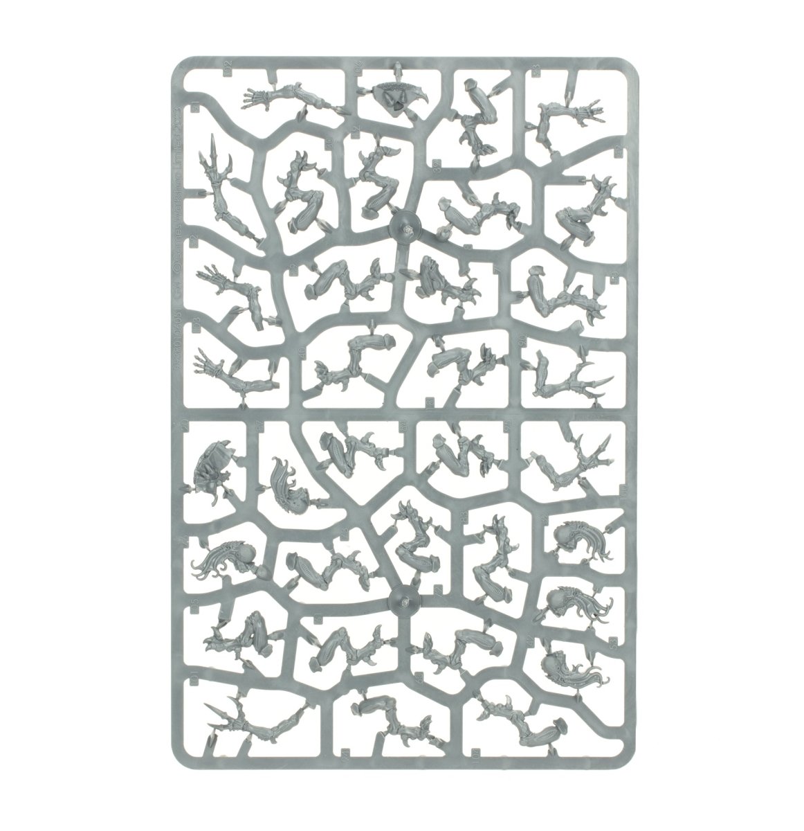 Tyranids: Genestealers sprue contents - Loaded Dice