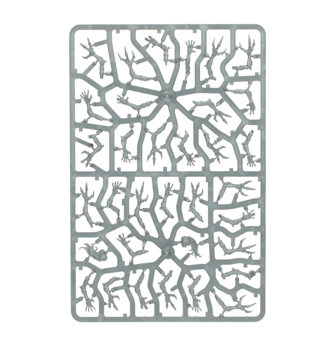 Tyranids: Genestealers sprue contents - Loaded Dice