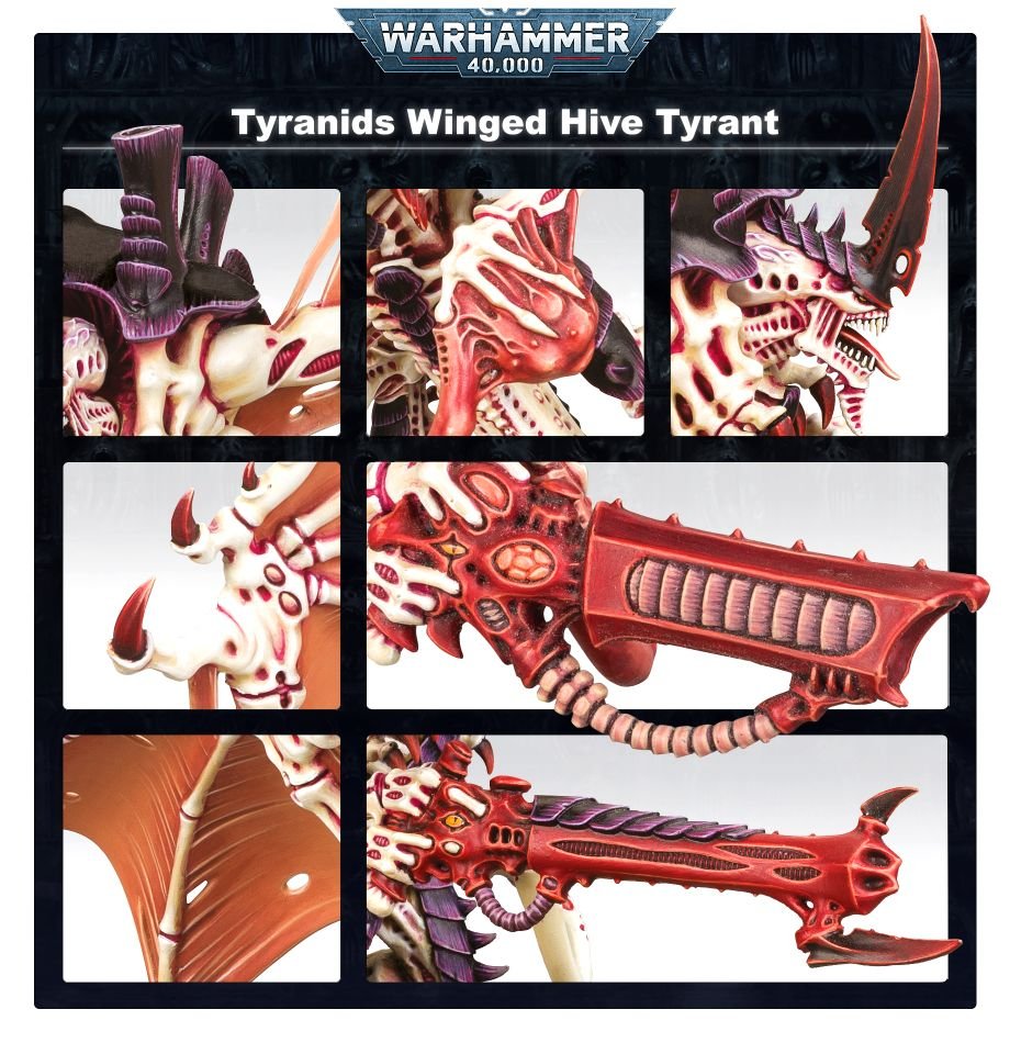 Close-ups of the painted Winged Hive Tyrant head, wings and venom cannon