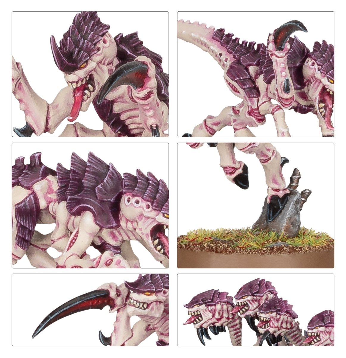 Tyranids: Hormagaunts sprue contents - Loaded Dice