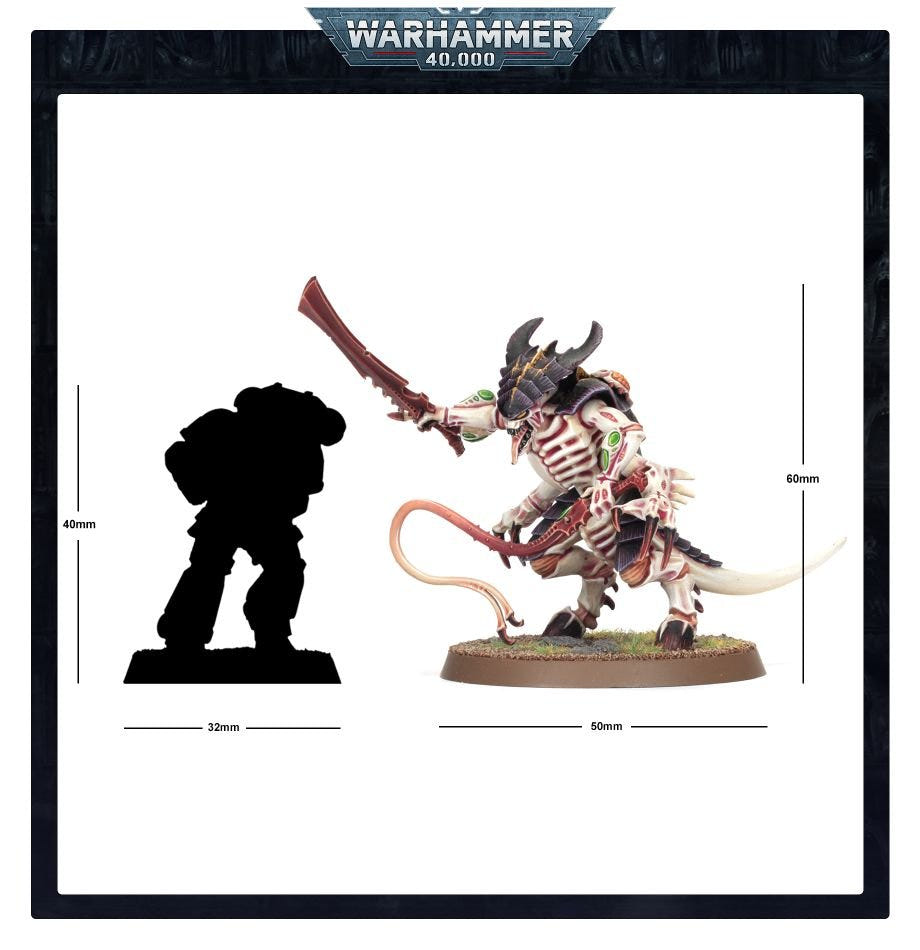 Tyranid Warrior size comparison beside a Space Marine silhouette with height markings