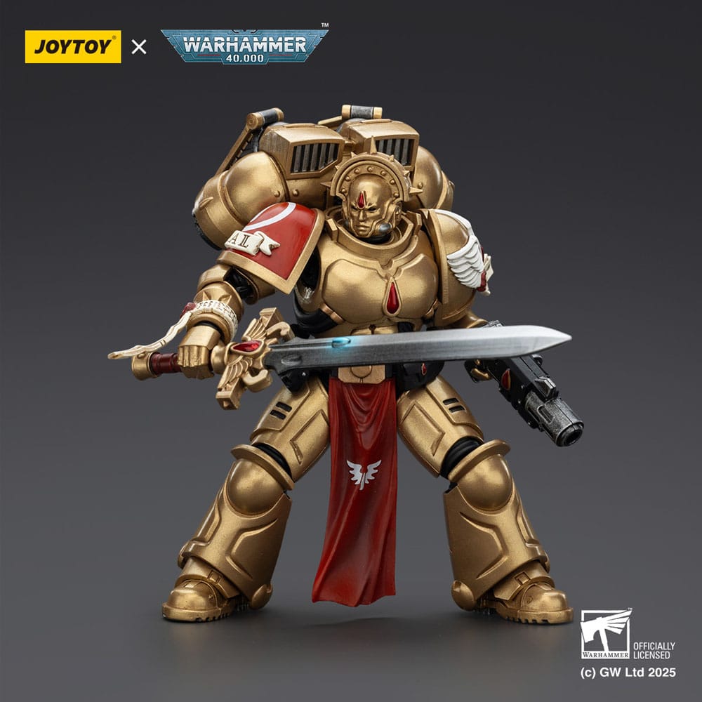 JoyToy Blood Angels Sanguinary Guard 1 20 cm action figure, sword held level across body, dark background