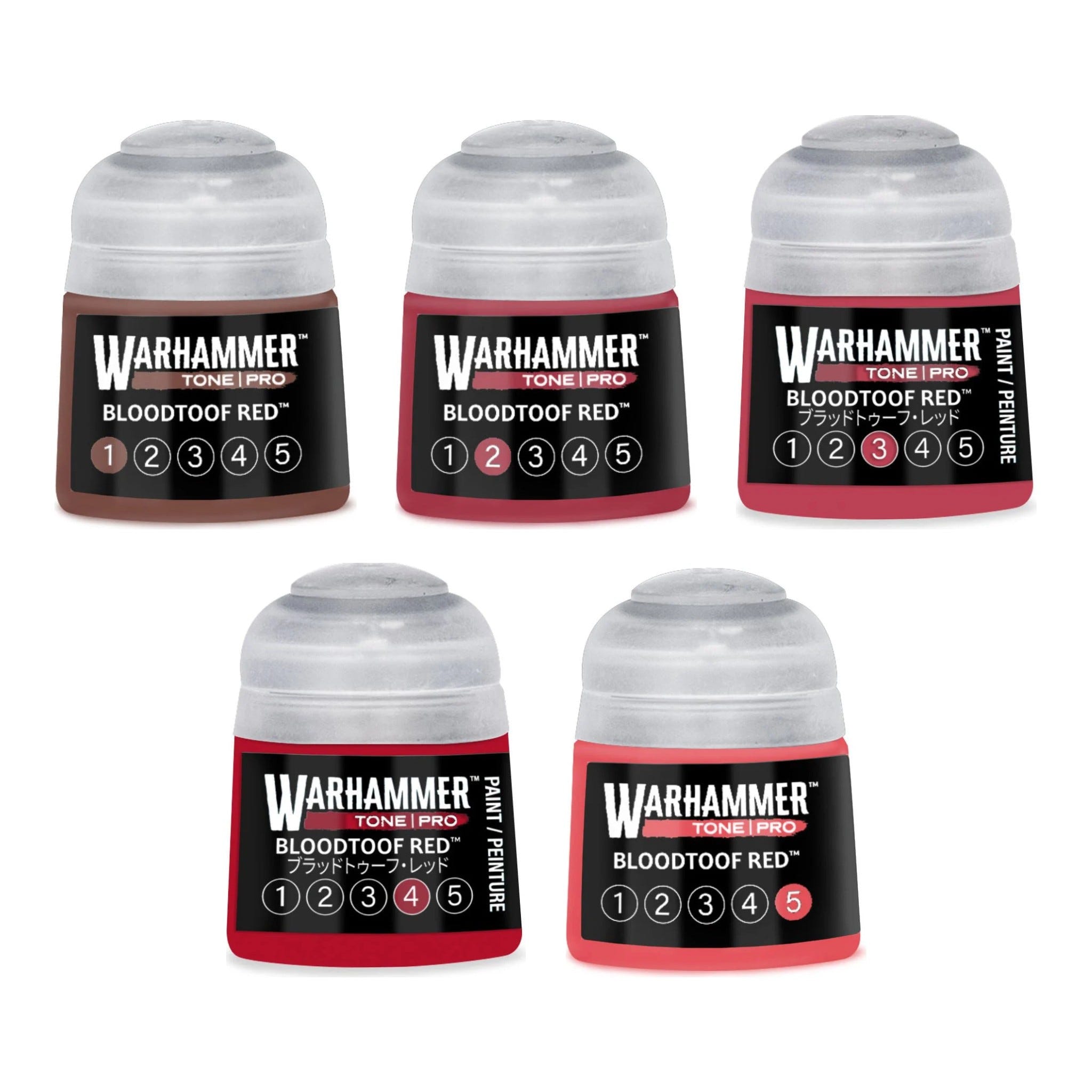Warhammer Tone Pro Bloodtoof Red bundle - all five tones, 1 to 5, 12ml paint pots