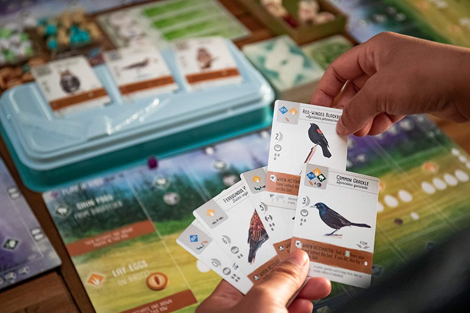 Wingspan (2nd Edition) - Loaded Dice