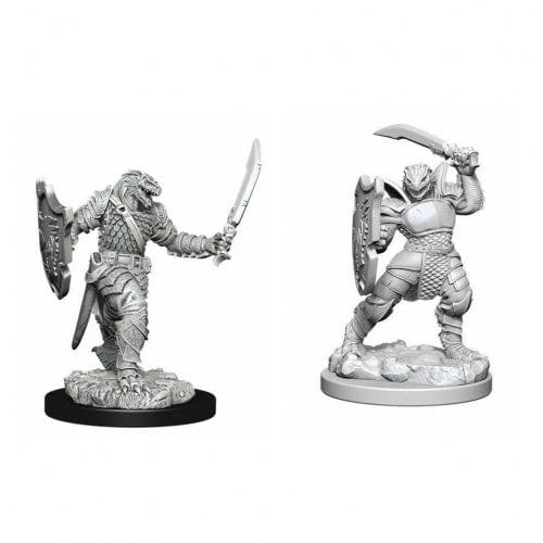 WizKids - D&D Nolzurs Marvelous Miniatures: Dragonborn Female Paladin - Wave 5 - Loaded Dice