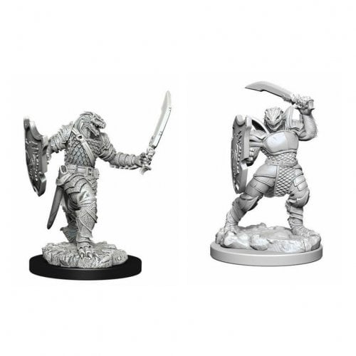 WizKids - D&D Nolzurs Marvelous Miniatures: Dragonborn Female Paladin - Wave 5