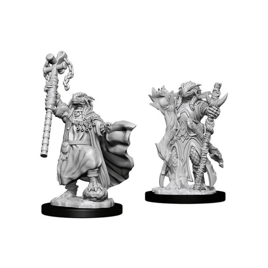 WizKids - D&D Nolzurs Marvelous Miniatures: Female Dragonborn Sorcerer - Wave 8 - Loaded Dice