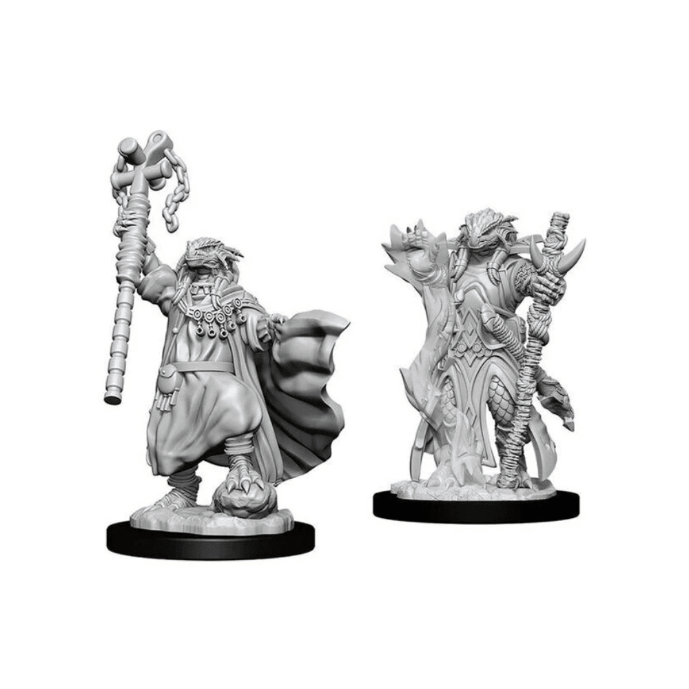 WizKids - D&D Nolzurs Marvelous Miniatures: Female Dragonborn Sorcerer - Wave 8 - Loaded Dice