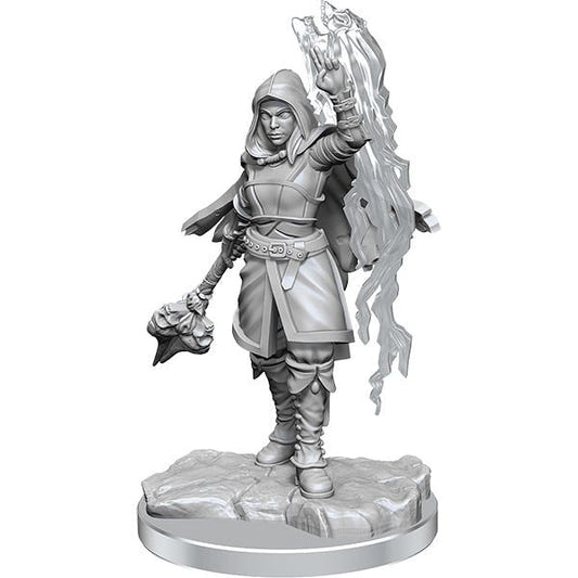WizKids - D&D Nolzurs Marvelous Miniatures: Half-Elf Warlock - Wave 20 - Loaded Dice