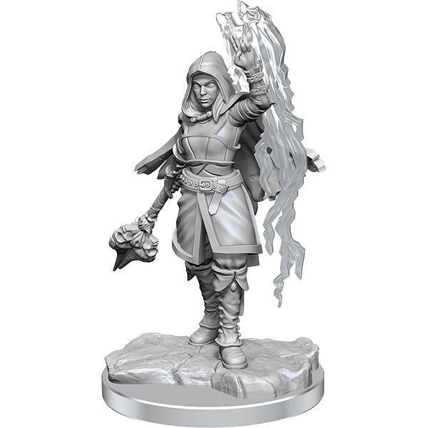 WizKids - D&D Nolzurs Marvelous Miniatures: Half-Elf Warlock - Wave 20