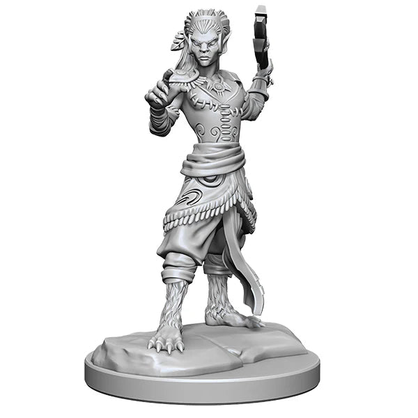 WizKids - D&D Nolzurs Marvelous Miniatures: Shifter Fighter - Wave 20 - Loaded Dice
