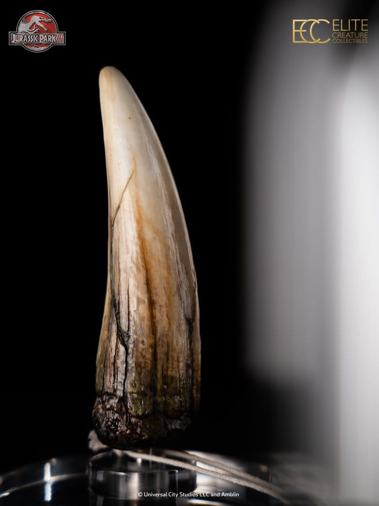 Jurassic Park III Prop Replica 1/1 Spinosaurus Tooth 14 cm