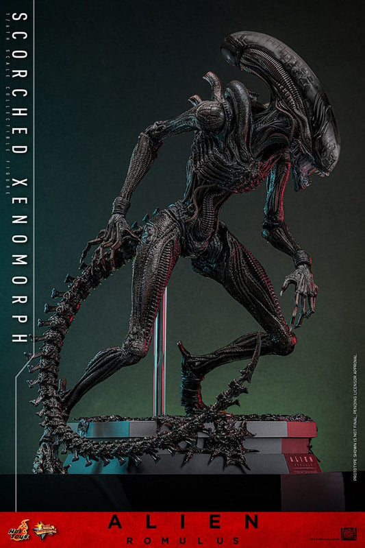 Hot Toys Alien: Romulus 1/6 Scorched Xenomorph (44cm) - Loaded Dice