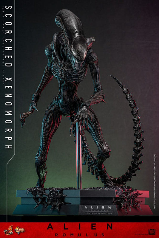 Hot Toys Alien: Romulus 1/6 Scorched Xenomorph (44cm) - Loaded Dice