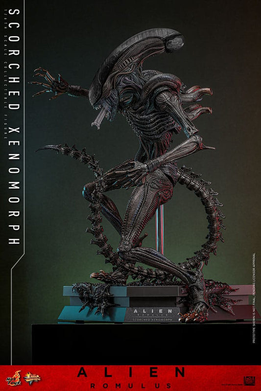 Hot Toys Alien: Romulus 1/6 Scorched Xenomorph (44cm) - Loaded Dice