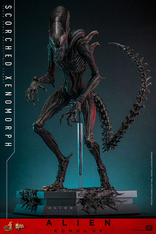Hot Toys Alien: Romulus 1/6 Scorched Xenomorph (44cm) - Loaded Dice