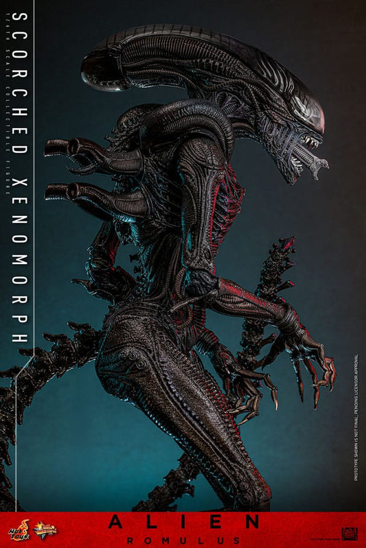 Hot Toys Alien: Romulus 1/6 Scorched Xenomorph (44cm) - Loaded Dice