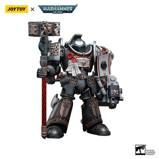 JoyToy Warhammer 40k Action Figure 1/18 Grey Knights Terminator Caddon Vibova 13 cm