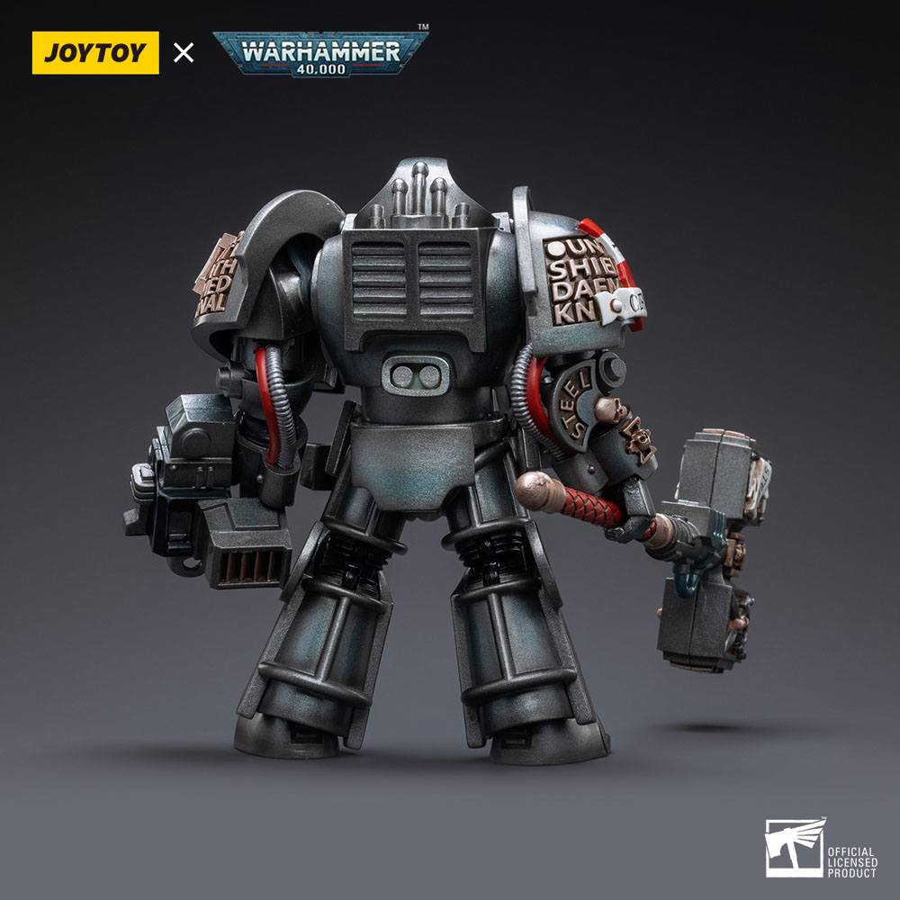 JoyToy Warhammer 40k Action Figure 1/18 Grey Knights Terminator Caddon Vibova 13 cm